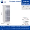 A4LS-10(6S + 4L)