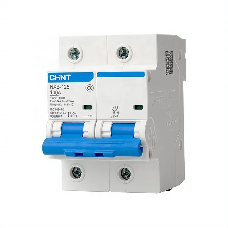 CHINT Double Pole 125A MCB Main Switch DP 125A CHINT MCB Circuit Breaker NXB 2P 100A MCB 10kA CHINT Miniature Circuit Breaker