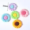 สีดอกทานตะวันแบบด้าน, สีของอุปกรณ์เสริมสุ่ม [ขนาดใหญ่ 3.6 ซม.]