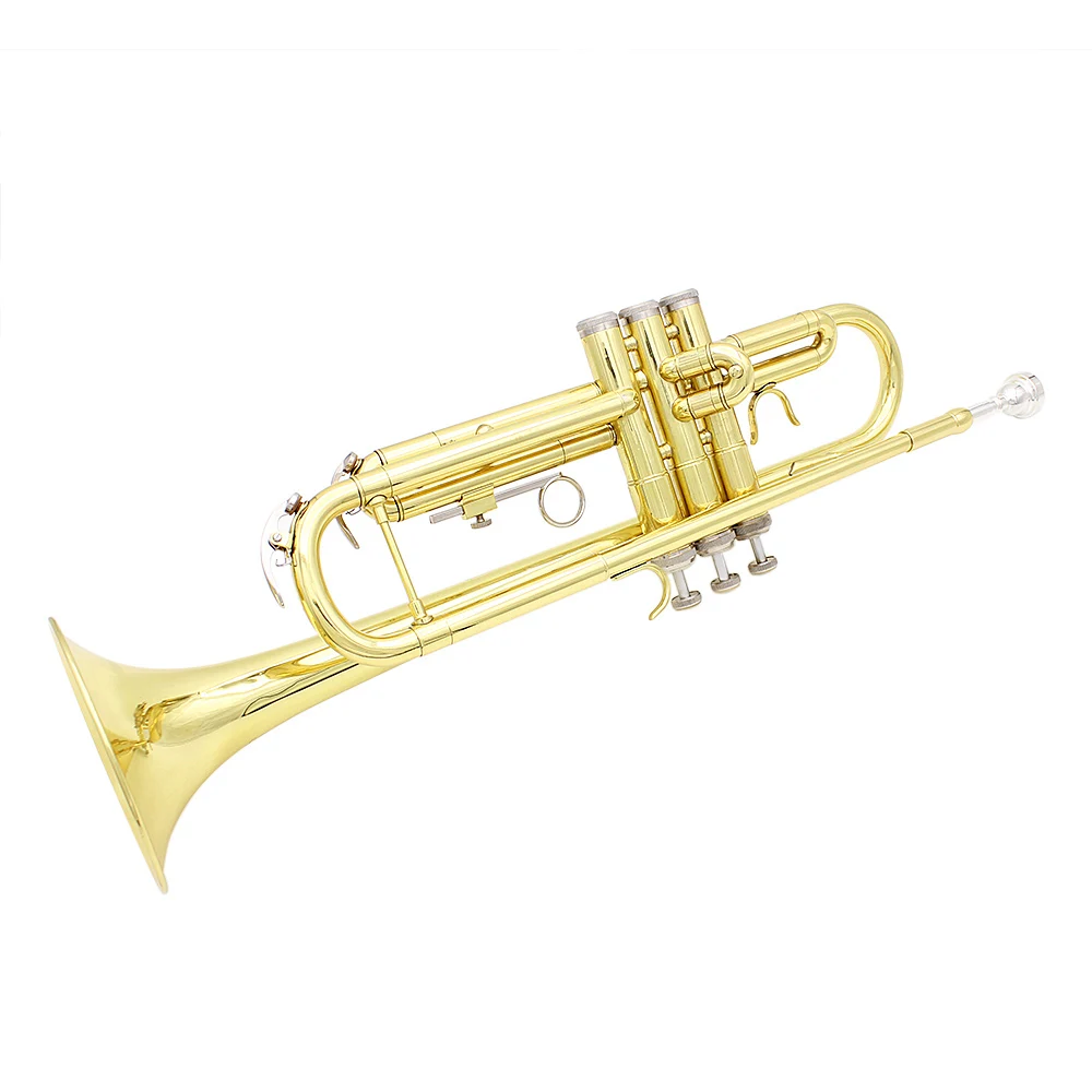 SLADEプロフェッショナルOEM管楽器カラーBbベースフラット