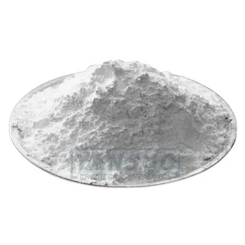 Inorganic Chemicals AlNaO6Si2 TJ-168 Alumina Silicate CAS 1344-00-9 sodium aluminium silicate powder