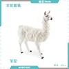T15525 Alpaca 61g