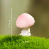 No 13-dream mushroom