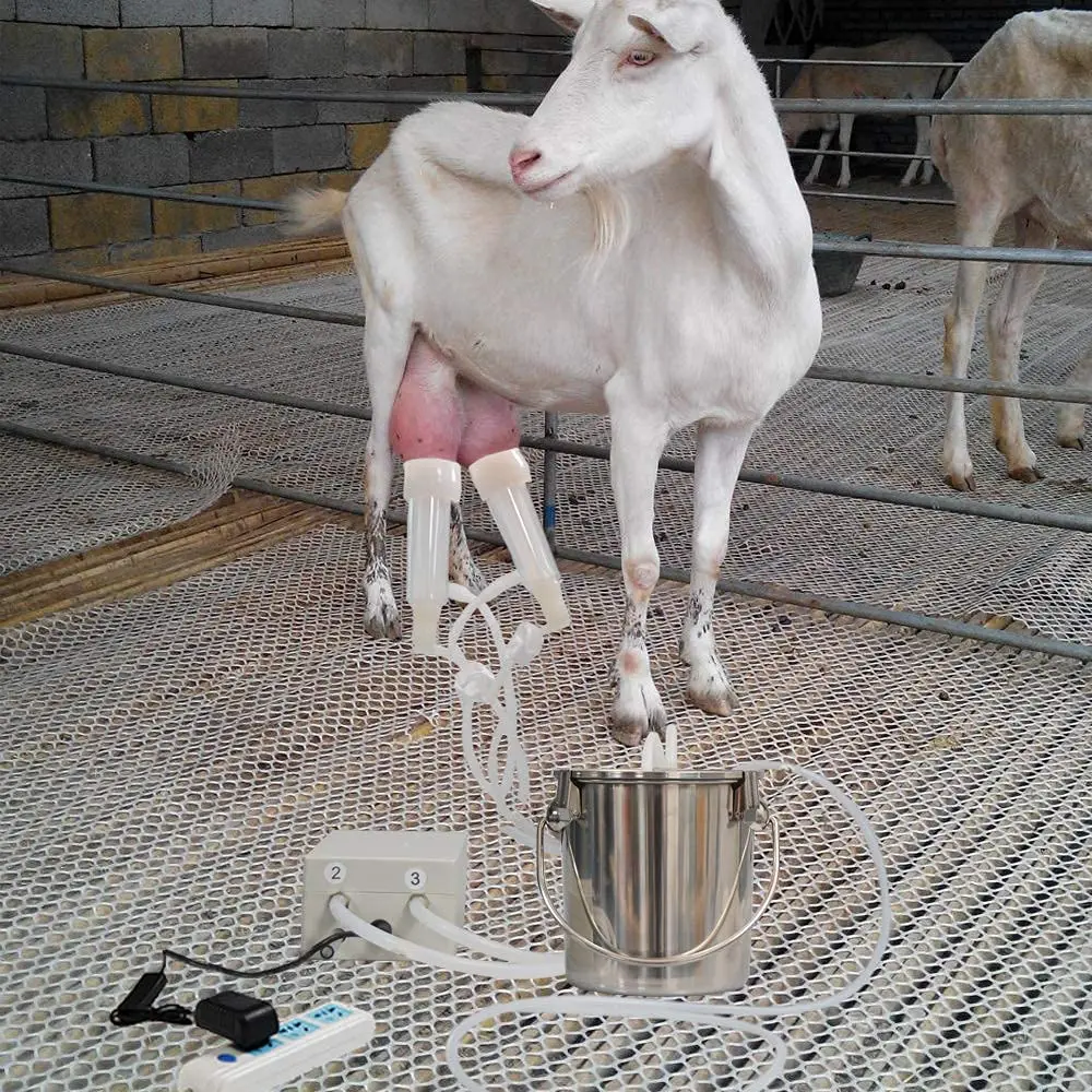 【ラプンツェル様用】MILKING THE GOATMACHINE /Seven Milking The Goatmachine (@milking_the_goatmachine