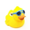 Canard en verre