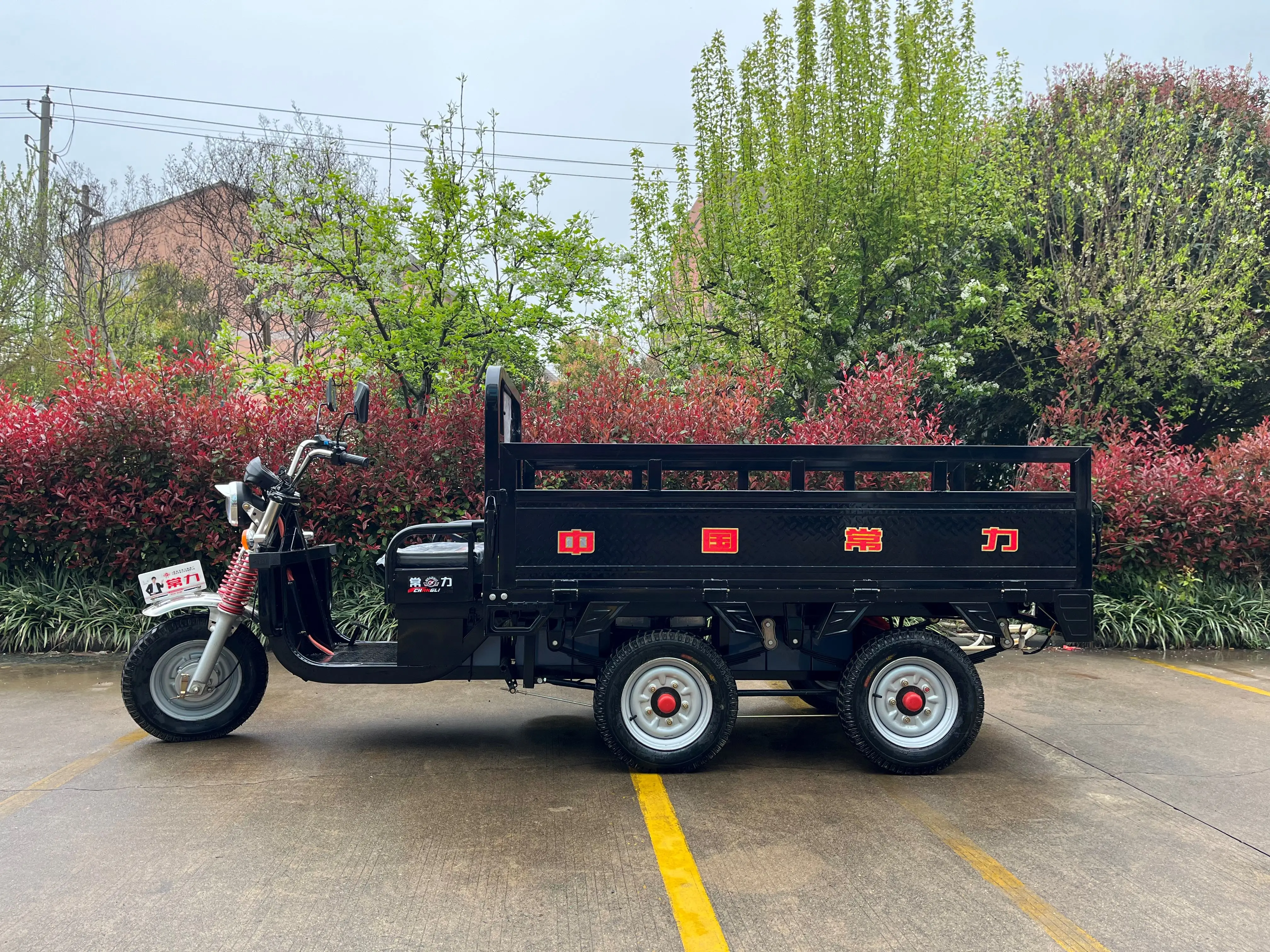チャングリ電動三輪車 - 大人用5ホイール、最大積載量400kg、時速50Km/h