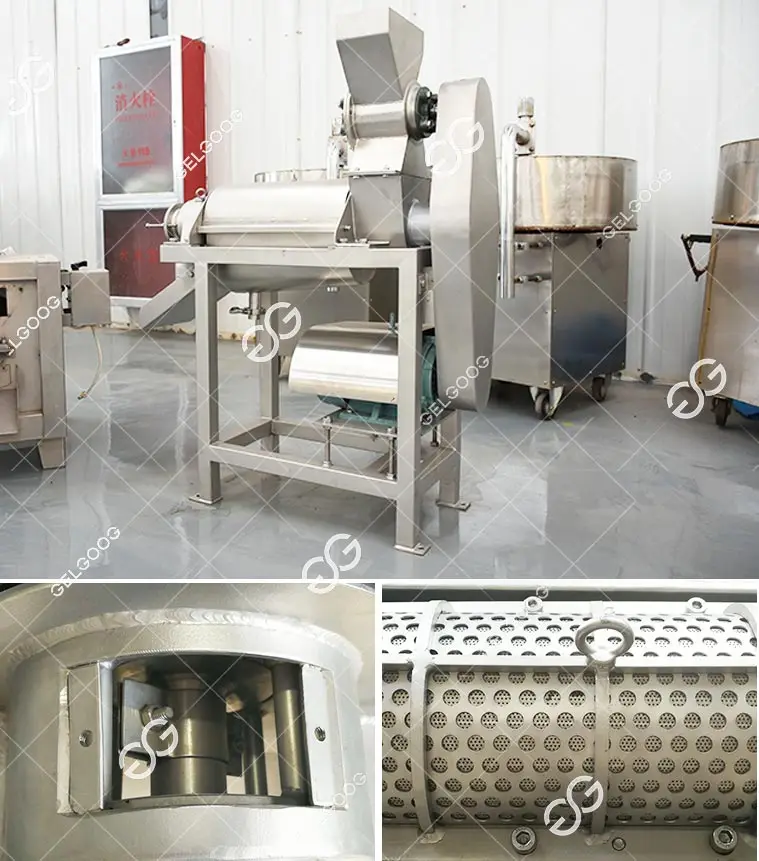 Industrial Spiral Juicer Extractor Machine Ginger Juice Extractor