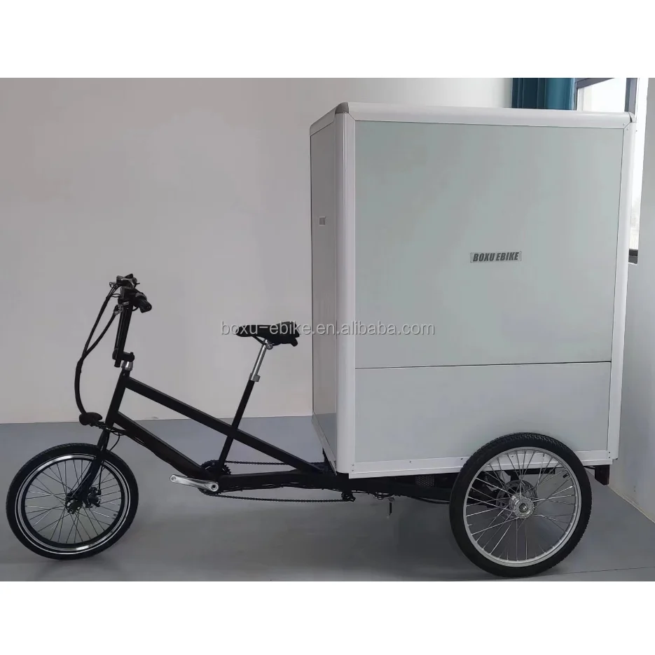 3 three wheels tricycle cargo ebike for delivery service cargo fat ebike