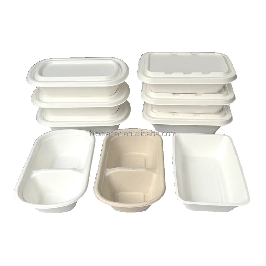Sugarcane Bagasse Biodegradable Eco-Friendly Takeaway Food Containers ...