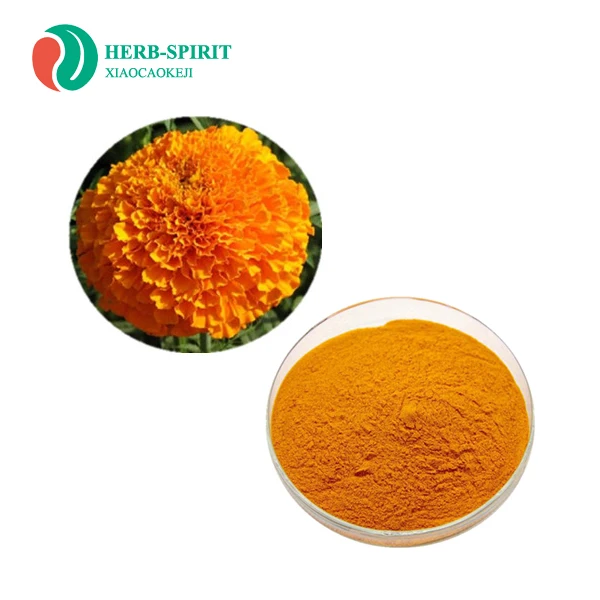 Wholesale Natural Powder Marigold Flower Extract Organic Marigold