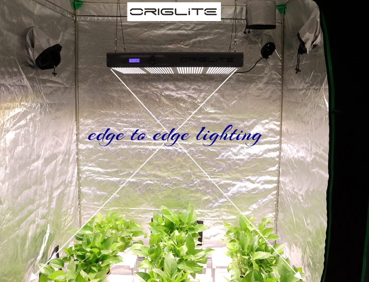 Details about   1000W LED Grow Lights for Indoor Plants Hydro Veg Flower Replace HPS HID IR PH 