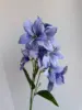 Deep Blue