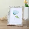 Bianco retrò