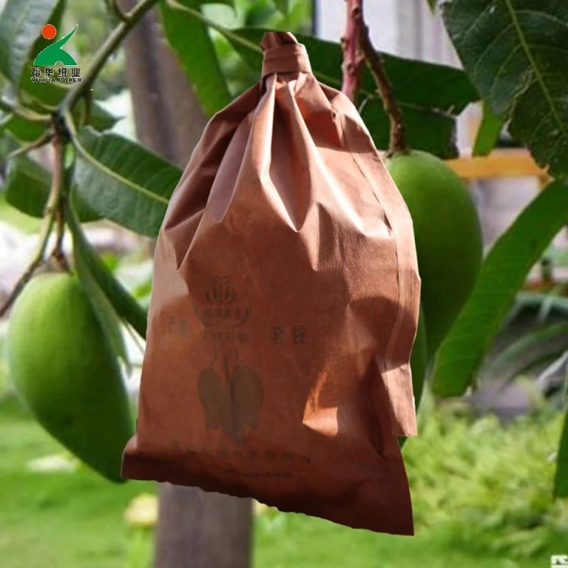 Agriculture Fruit Protection Bags Mango Grape Kraft Paper Packing Bag