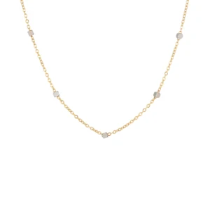 Stainless Steel Exquisite Women's Jewellery 18K Gold-Plated  Necklace Delicate Women's Layered Chain Wholesale Necklace