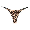 leopard print-1