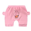 O-pp pants powder carrot rabbit