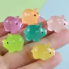 Luminous pig