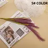 5 #