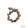 Tiger eye