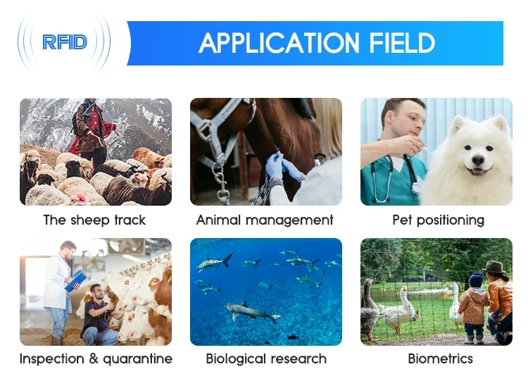 Injectable Animal Tracking Microchip With Syringe Universal Glass Tag