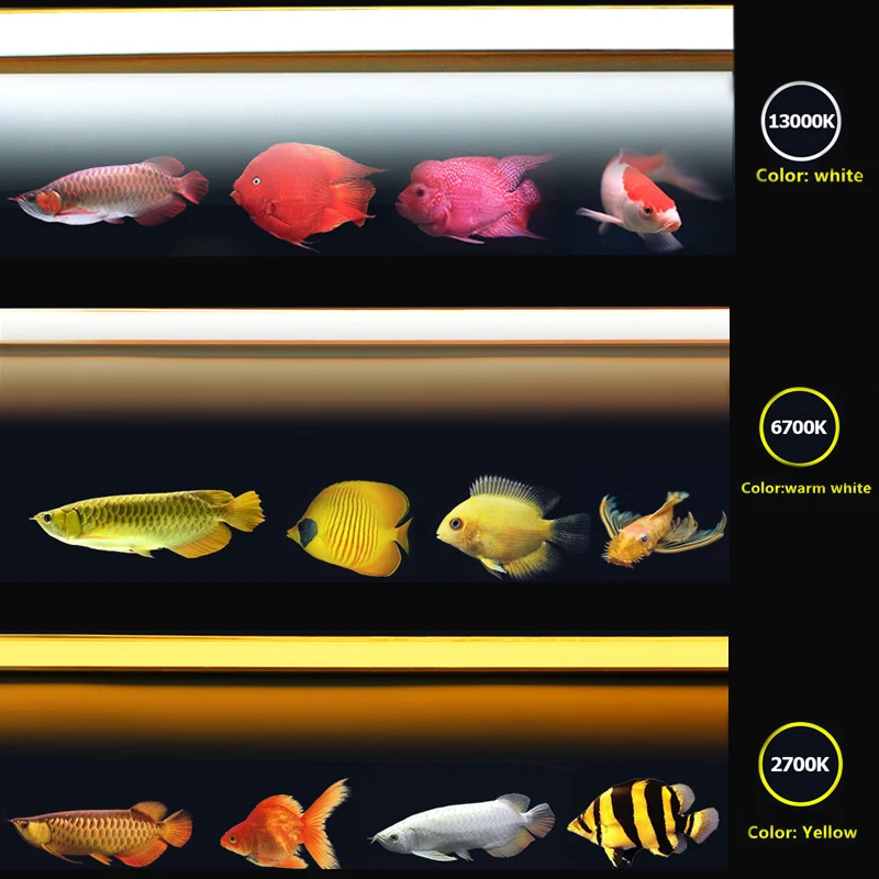 ZAOHETIAN T5 Submersible Tanning Arowana Tanning Light