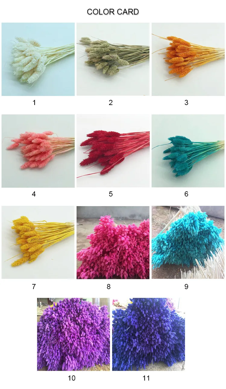 
Оптовая продажа, лидер продаж 2020, настоящие консервированные цветы Eheap, искусственные цветы и сушеные цветы, трава из драгоценных камней для украшения 