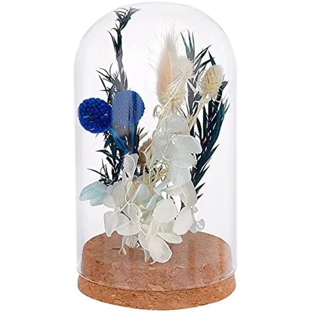 Clear Cloche Glass Dome Glass Display Dome with Cork Base Decoration ...