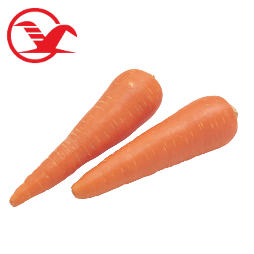 Fit Sweet Carrot