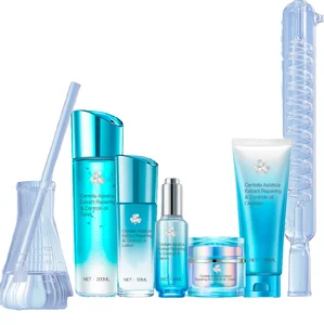 Centella Asiatica Extract Hyaluronic Acid Vitamin E Anti-Aging Face Care Set with Acne Mark Lightening Oil