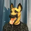 Big wolf dog headgear