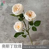 Austin Rose et Champagne