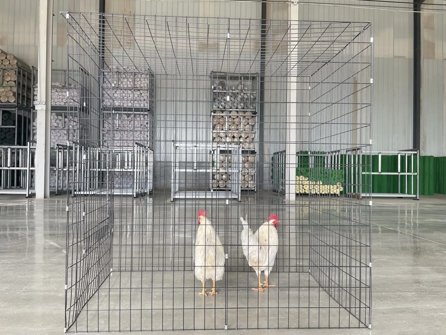 Chicken Pens And Galvanized Welded Wire Mesh Cage Buy Galvanized