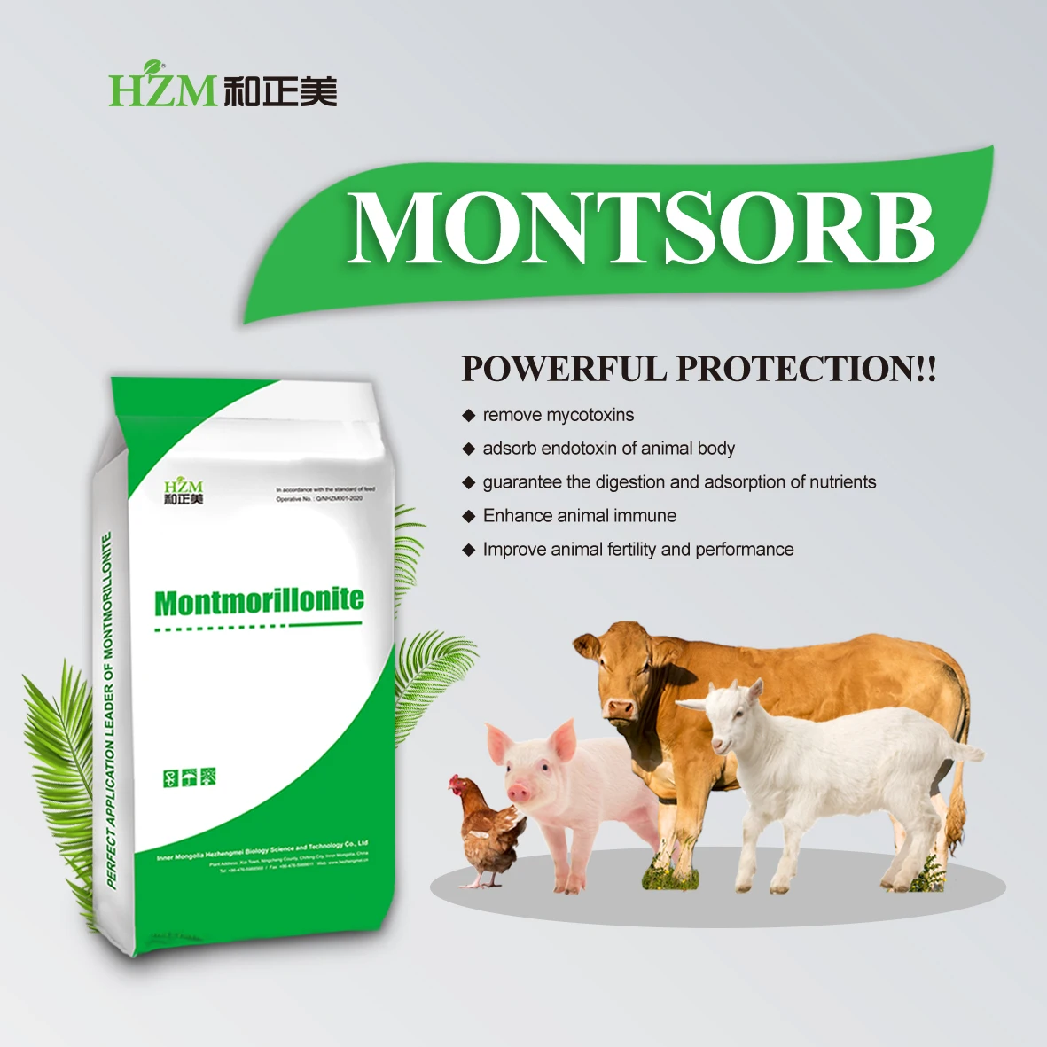 Modified Bentonite HSCAS As Toxin Binder for Aflatoxin