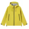 Butterfly yellow