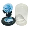 Sky Blue (without Light and Gift Box)