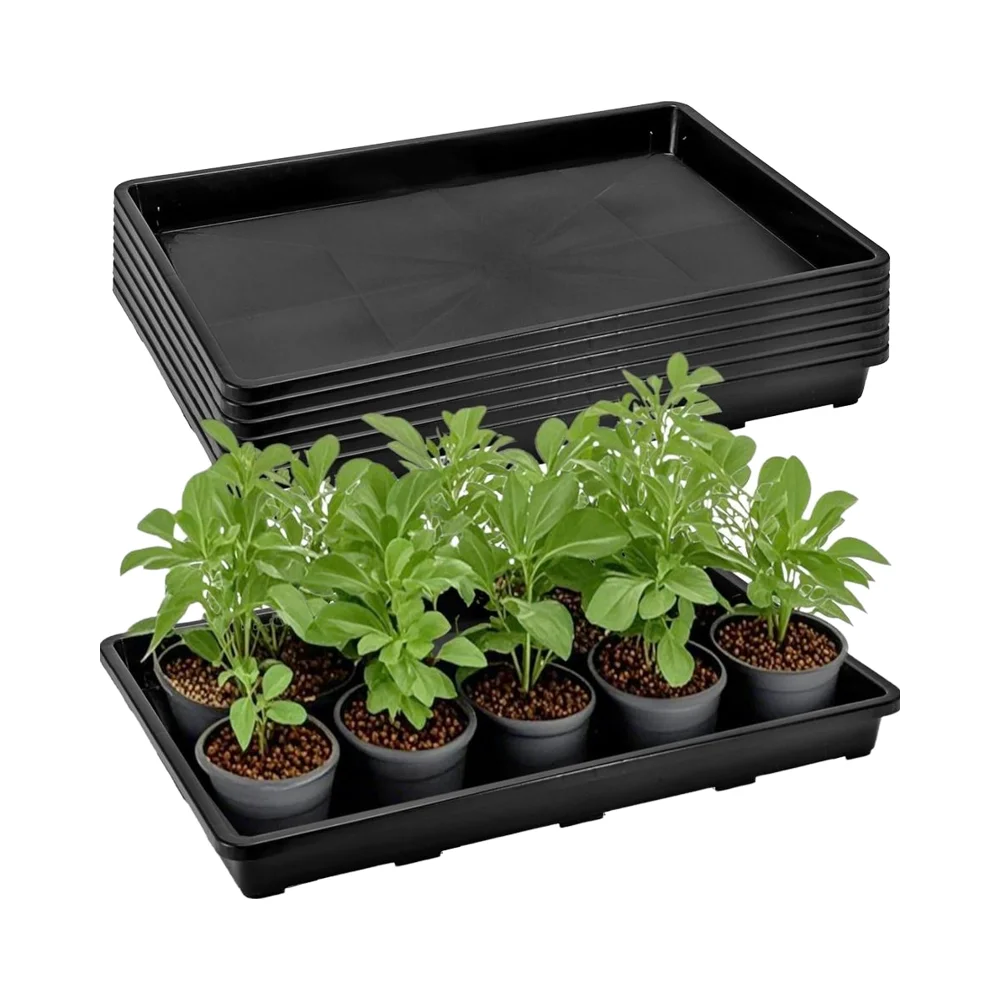 A-ONE Robustum, Amicum Ambientis Hydroponicum Seminum Vaginum, Microgreens, Oriza, Hortus, Ex Plastico PP, Capacitas 1–3 L, Rectangulare Seminum Vaginum