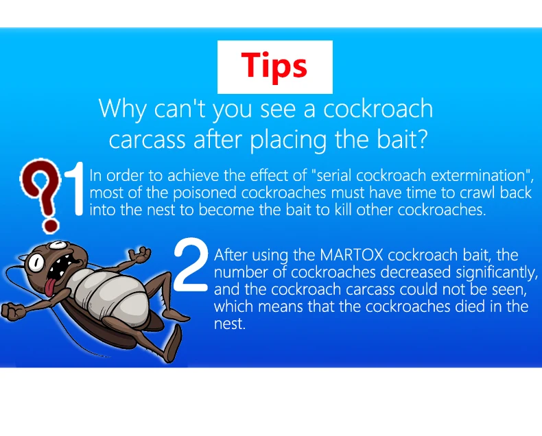 Cockroach bait small10.jpg