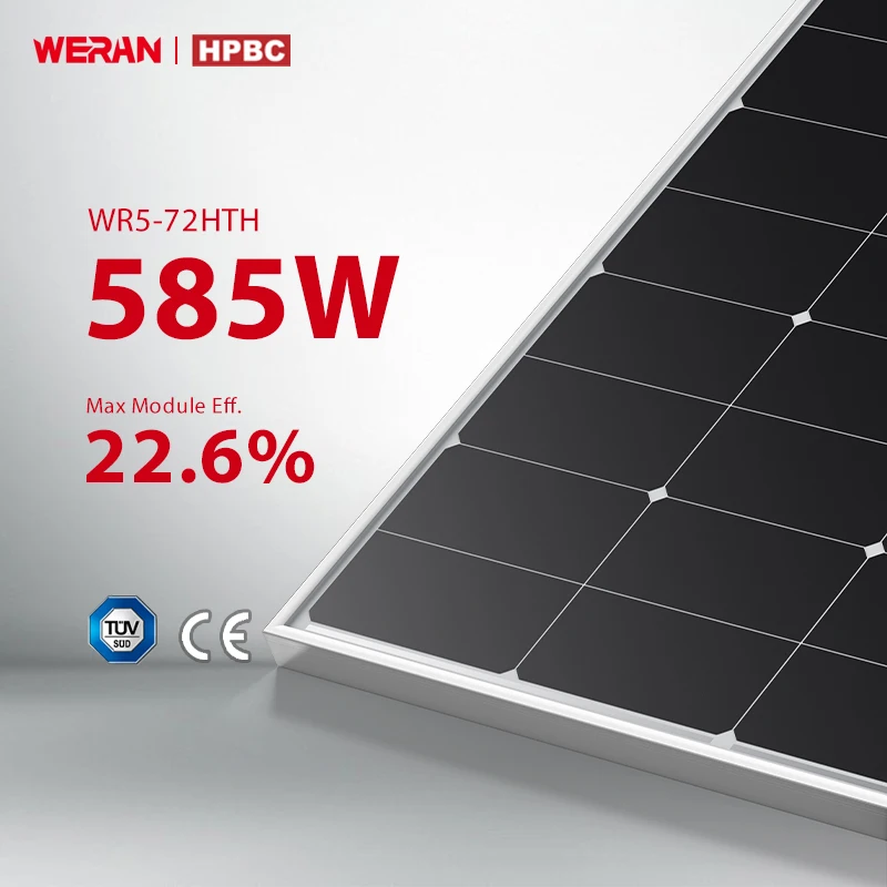 High Quality WERAN Portable Solar Panel Complete Kit Half Cell Roof Solar Cell PV Paneles Solares Para Casa Competitive Price