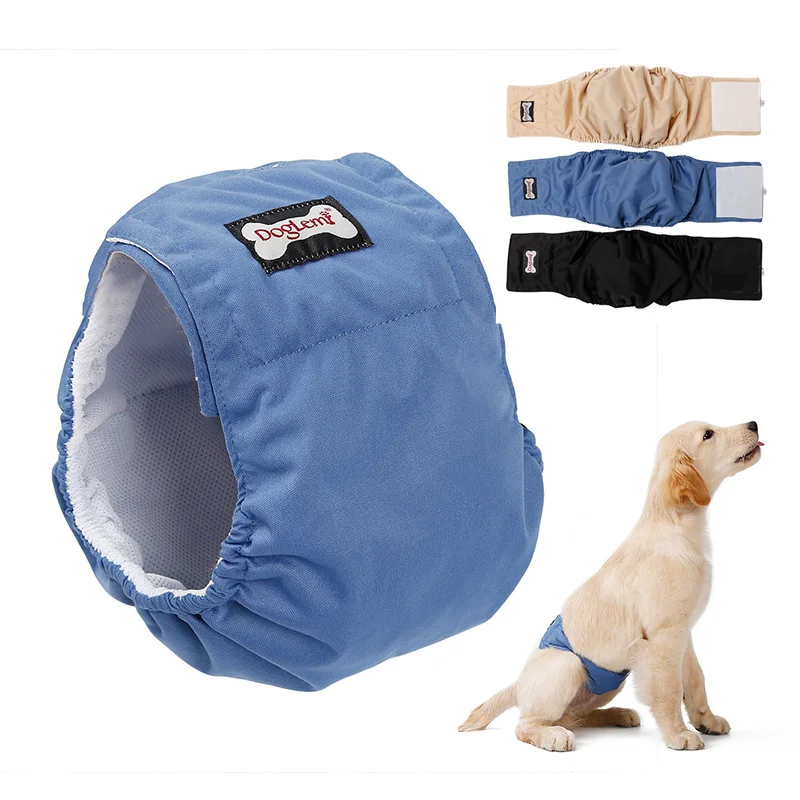 What Is A Dog Belly Band