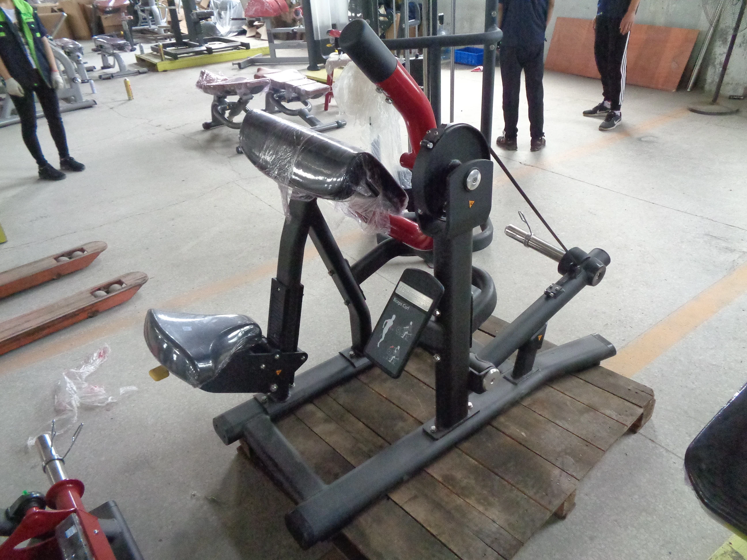 Factory Direct Supply Strength Training Plate Loaded MND FITNESS Gym Equipment Biceps Curl for Workout