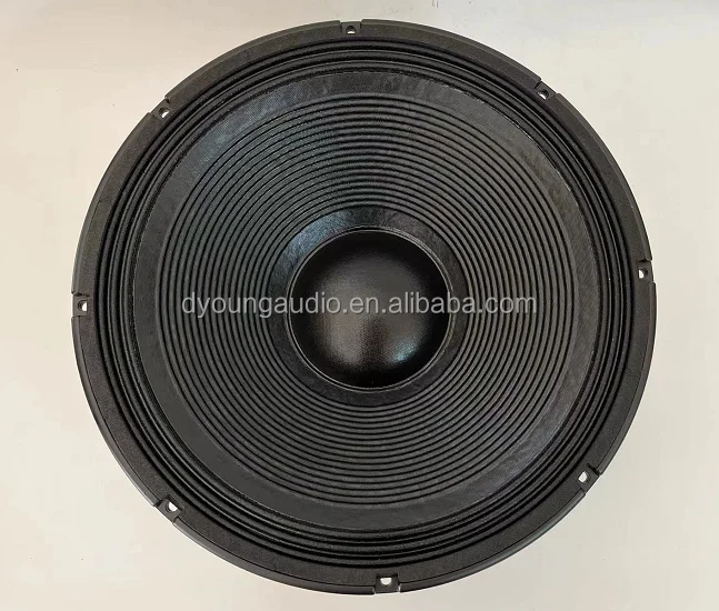 21 Inch 4000w Powerful Top Heavy Sub Pro Sound Bass Subwoofer