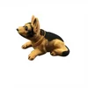 chien de berger
