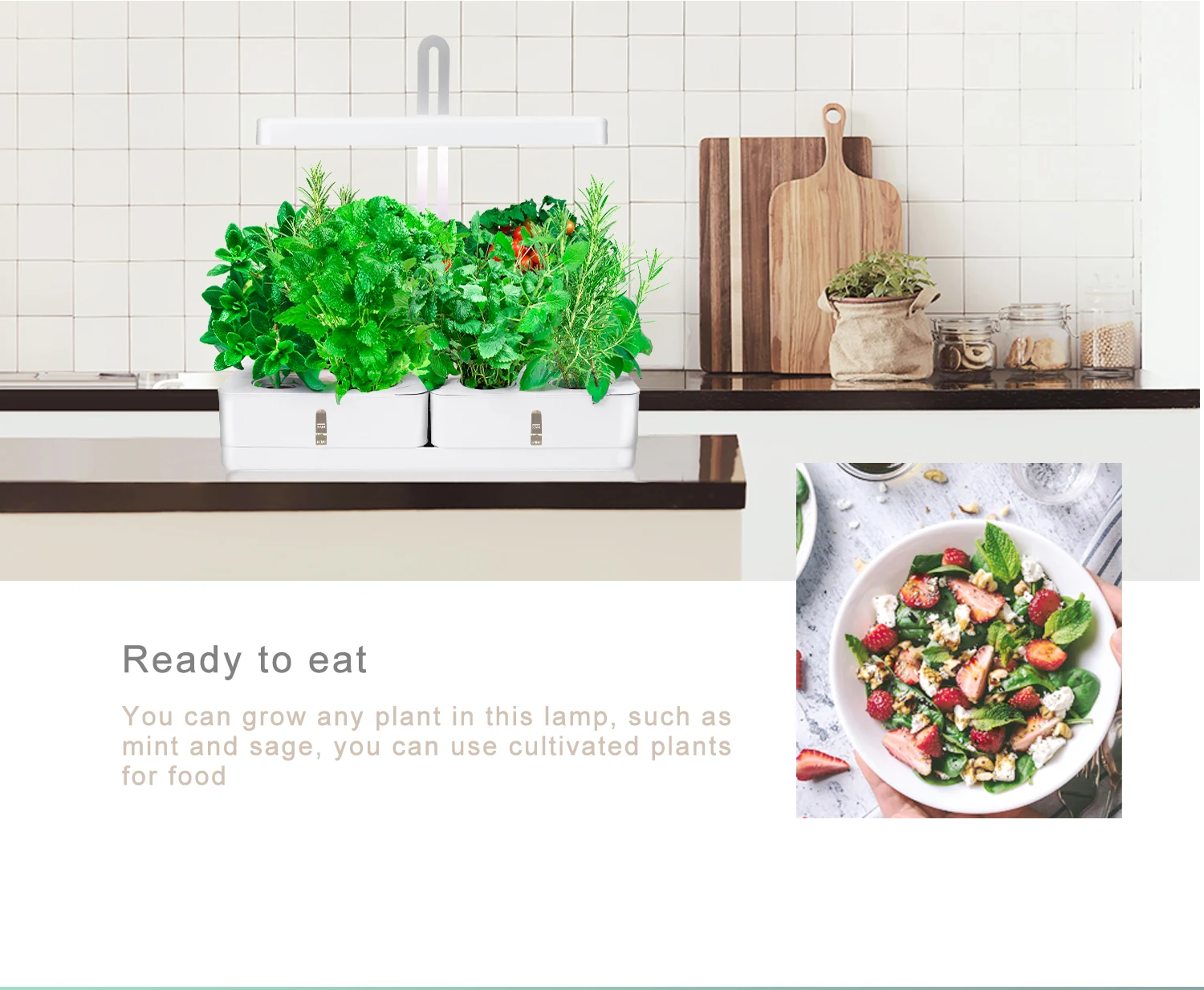 J&c Minigarden Faire Pousser La Lumiere Home Herb Grower Kitchen Herb