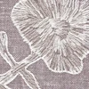 AC2007 _ C01