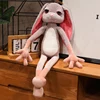 conejo