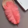 Rojo sandía