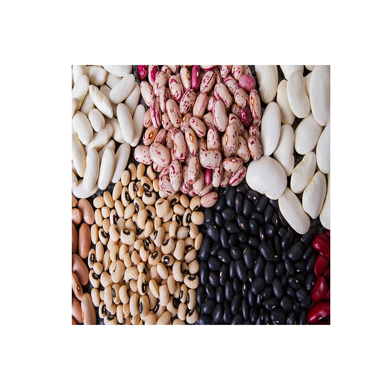 Сушеные зеленые бобы мунг для проращивания большого размера оптовая продажа семена максимальный пакет большой стиль упаковка