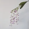 Viola chiaro
