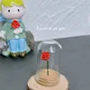 colorful A- The Little Prince loves the red rose